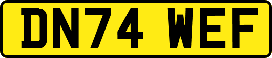 DN74WEF