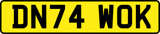 DN74WOK