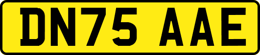 DN75AAE