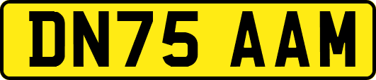 DN75AAM