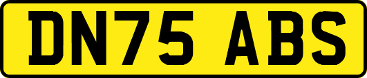 DN75ABS