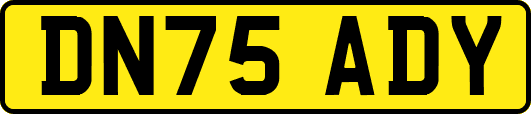 DN75ADY