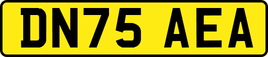 DN75AEA