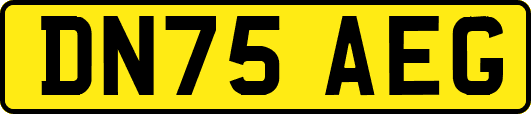 DN75AEG