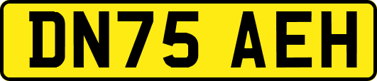 DN75AEH