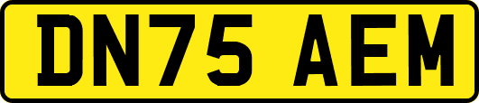 DN75AEM