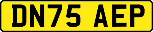 DN75AEP