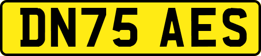 DN75AES