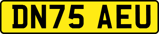 DN75AEU