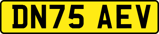 DN75AEV