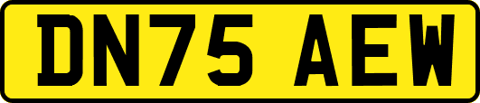 DN75AEW