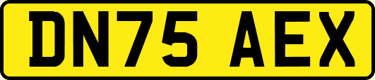 DN75AEX