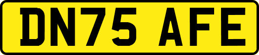 DN75AFE