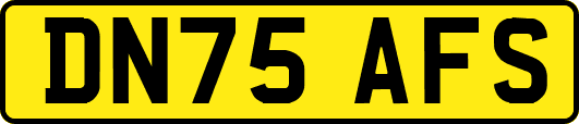 DN75AFS