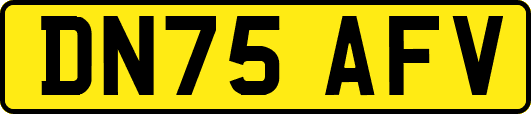 DN75AFV