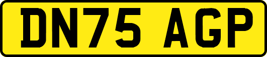 DN75AGP