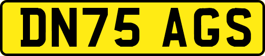 DN75AGS