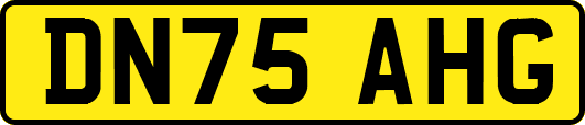 DN75AHG