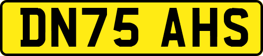 DN75AHS