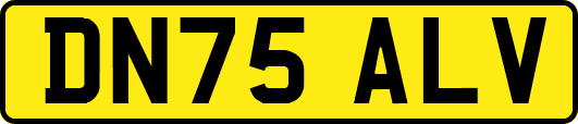 DN75ALV