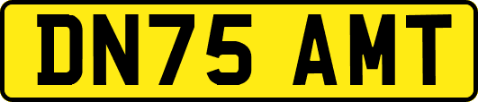 DN75AMT