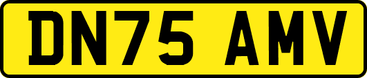 DN75AMV
