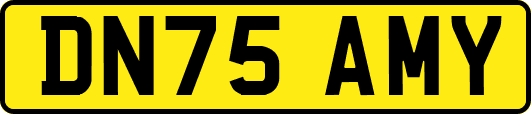 DN75AMY