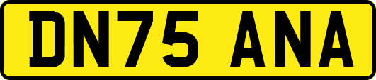 DN75ANA