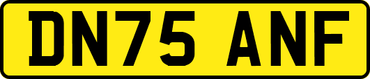 DN75ANF