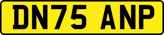 DN75ANP