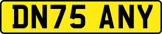 DN75ANY