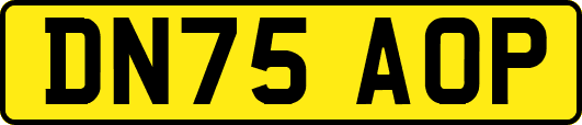 DN75AOP