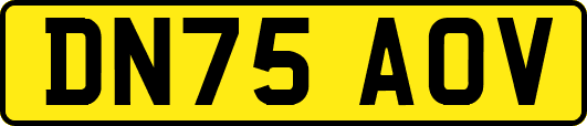 DN75AOV