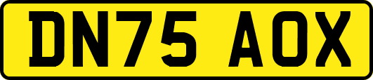 DN75AOX