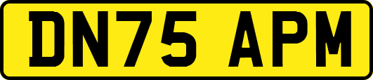 DN75APM