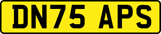 DN75APS