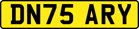 DN75ARY