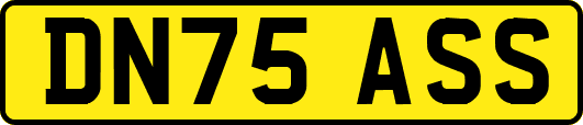 DN75ASS