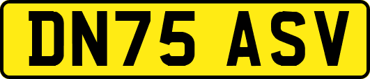 DN75ASV