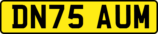 DN75AUM