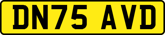 DN75AVD