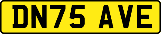 DN75AVE