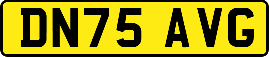 DN75AVG