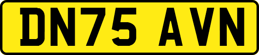 DN75AVN