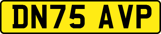 DN75AVP