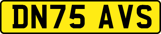 DN75AVS