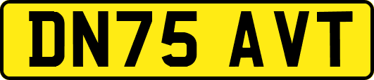 DN75AVT