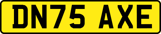 DN75AXE