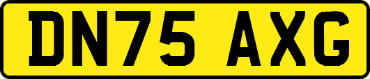 DN75AXG