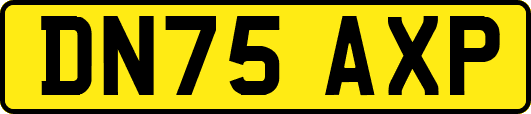 DN75AXP